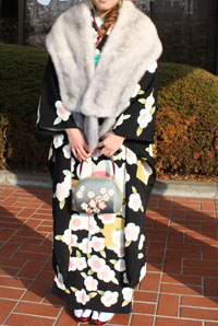 �U�����ʂ̉摜