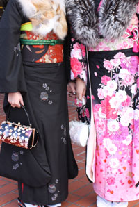 �ېU���̉摜