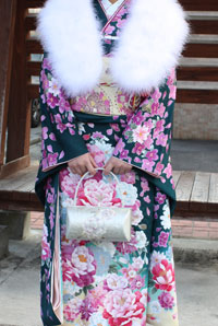 �U���ƃo�b�N�̉摜