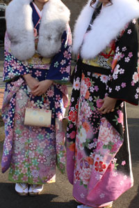 �U���ƃX�g�[���̉摜