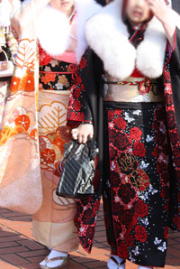 �U�����l���̉摜