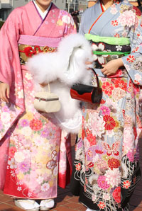 �U�����p�̉摜