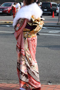 �U���W���ʐ^�̉摜