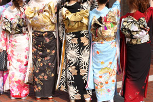 �U���p�̉摜