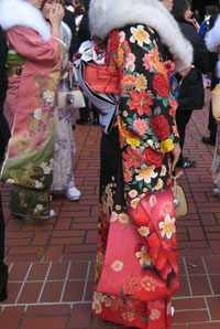 �U���p�̉摜