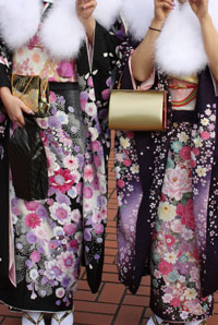 ���n�U���̉摜