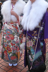 �U���p�̉摜