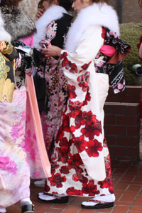 ���n�U���̉摜