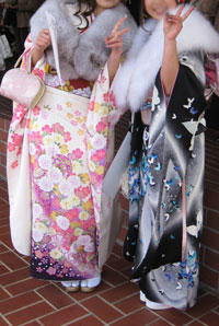 �U���p�̉摜