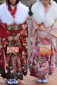 �ԕ��U���̉摜