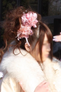 ������R�[�f�B�l�[�g�摜