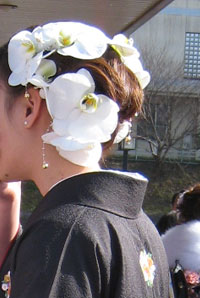 �U���̔�����̉摜