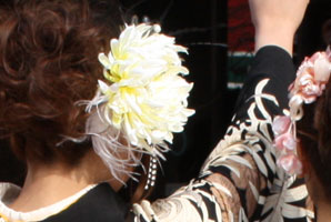 �U���Ɣ�����̑g�ݍ��킹�摜