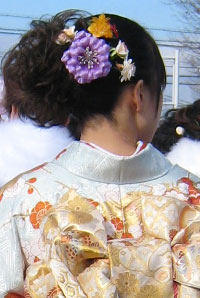 ������ƐU���̉摜