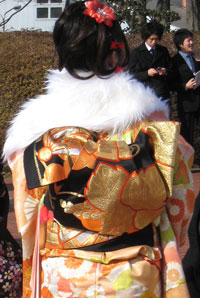 �U���̑ь��щ摜