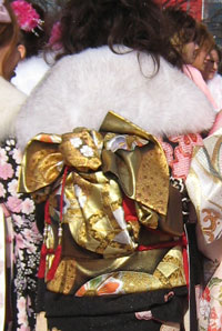 �U���̑т̌`�摜