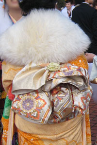 �U���̑ь�p�̉摜