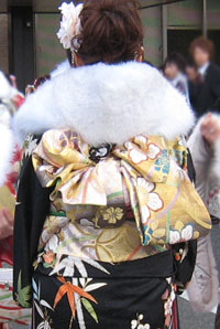 �ь��ѐU���̉摜