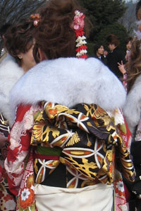 �U���̑ь��щ摜